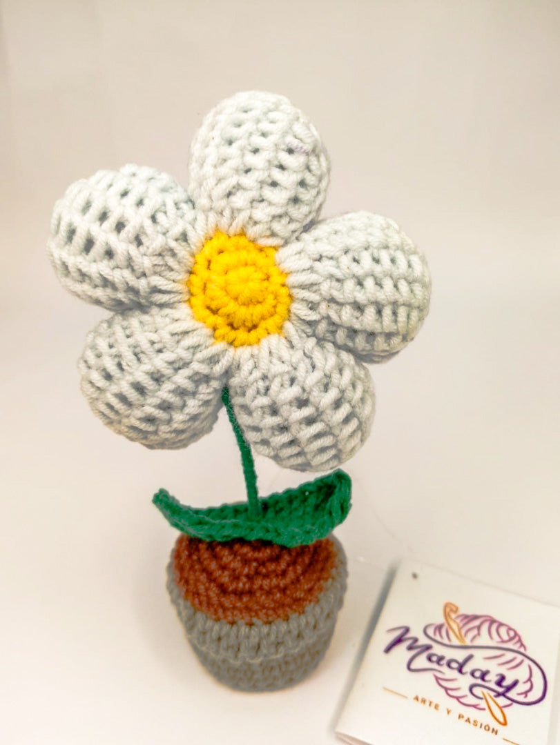 Flor Marina