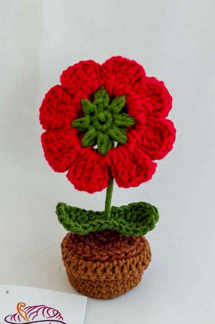 Flor Petunia