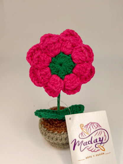 Flor Rosmery