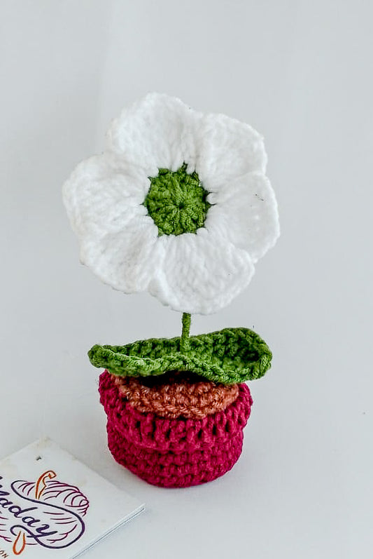 Flor Amelia