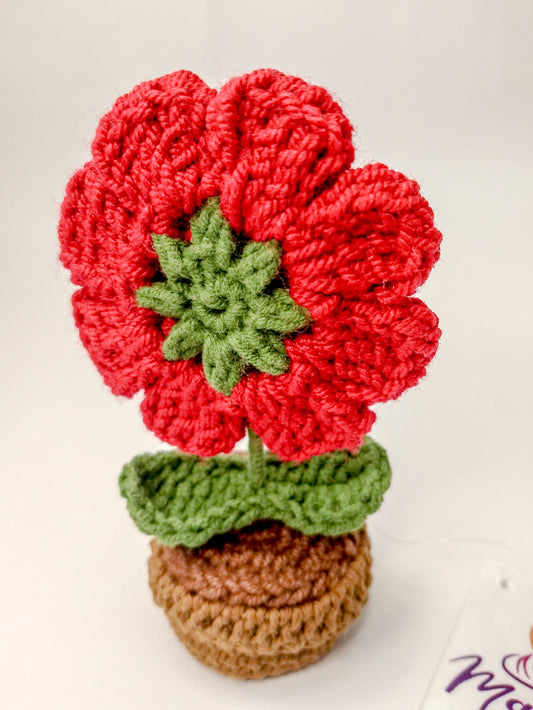 Flor Petunia