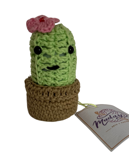 Cactus Rosita