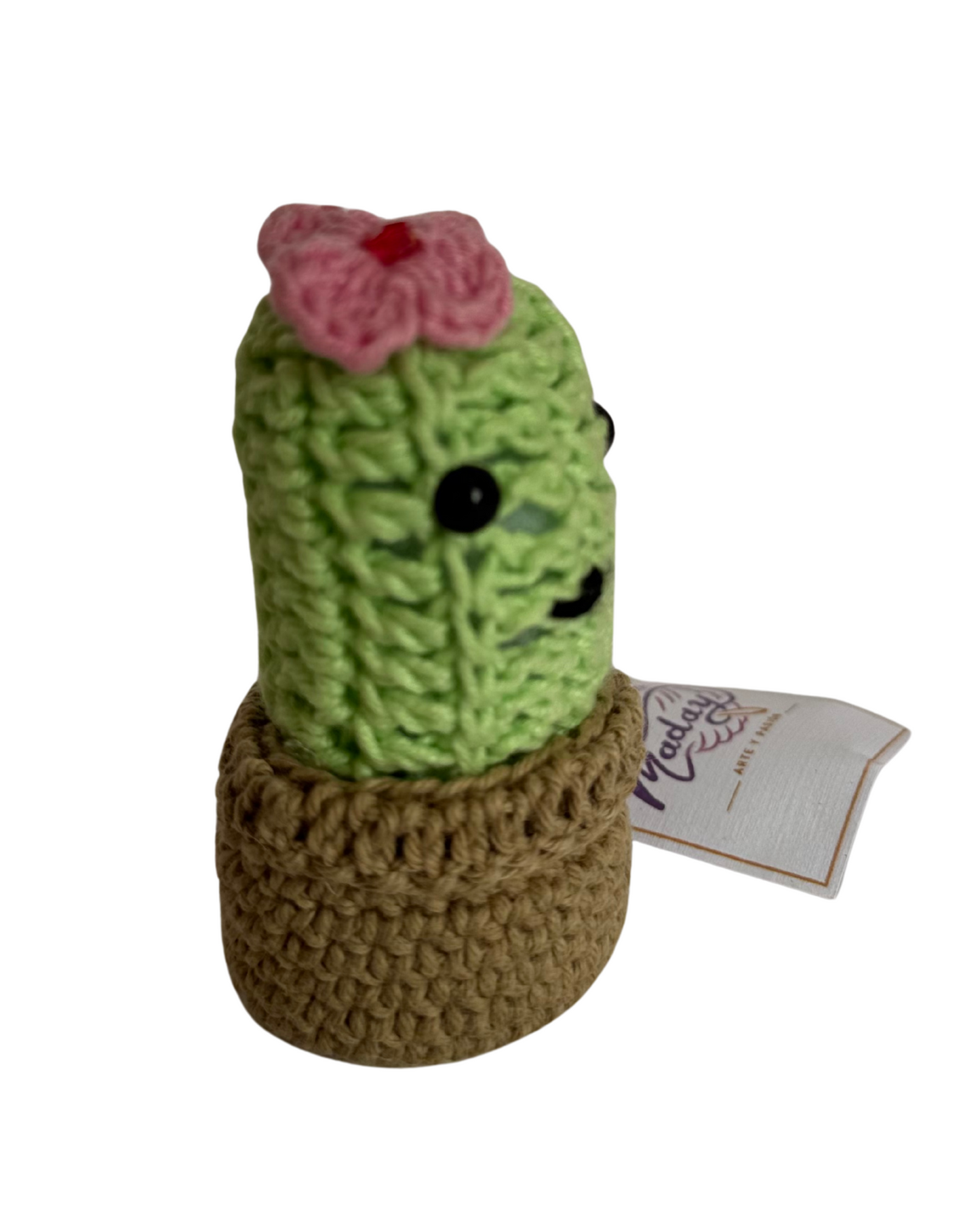 Cactus Rosita